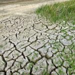 aquecimento-global-terra-inabitavel-alteraçoes-climaticas-essencia-ambiente