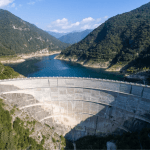 barragens-do-douro-ameaçam-espécies-e-habitats-essencia-ambiente