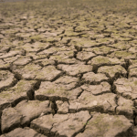 portugal-com-elevado-risco-de-escassez-de-água-seca-desertificação-essencia-ambiente