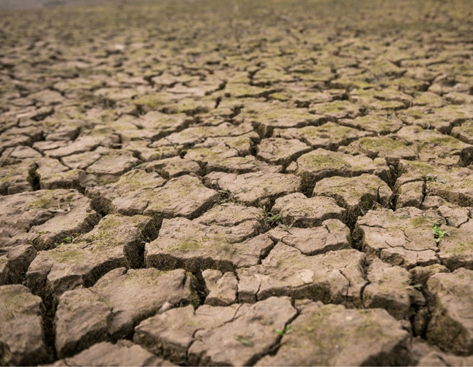 portugal-com-elevado-risco-de-escassez-de-água-seca-desertificação-essencia-ambiente