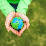 sensibilização-ambiental-essência-do-ambiente