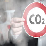 mercado-voluntario-co2-essencia-do-ambiente