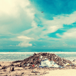 lixo-praias-algas-essencia-do-ambiente