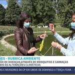 REVIVeE | Essência Ambiente