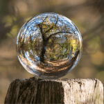circular-ideias-essencia-ambiente