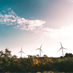 edp-sustentabilidade-ambiental-essencia-ambiente