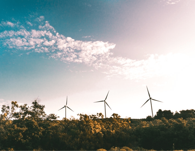 edp-sustentabilidade-ambiental-essencia-ambiente