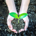 auchan-sustentabilidade-essencia-ambiente