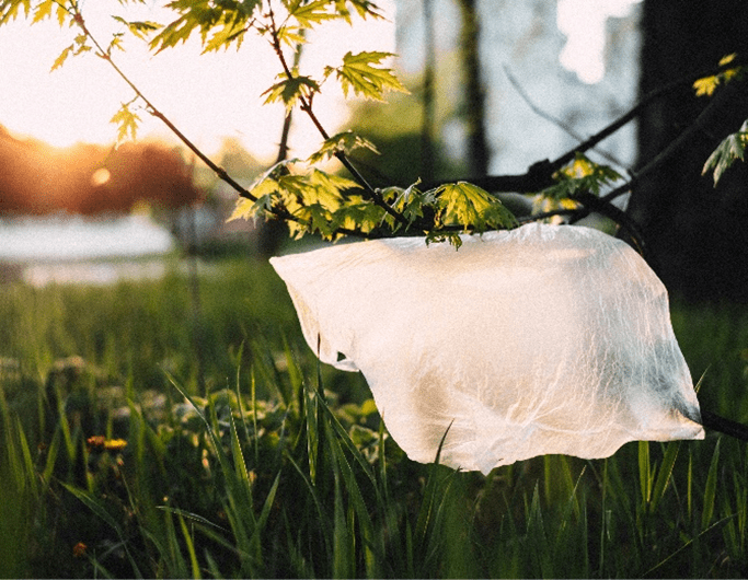 sacos-plastico-essencia-ambiente