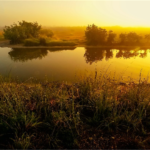 rios-essencia-ambiente