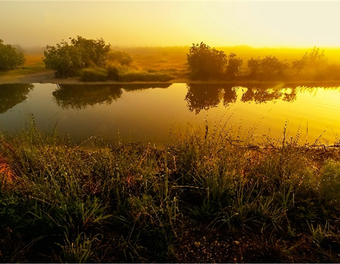 rios-essencia-ambiente