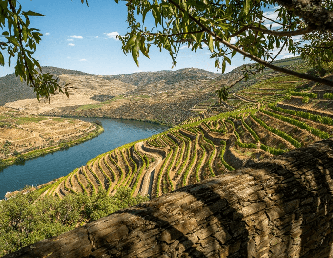 bacia-hidrografica-douro-essencia-ambiente