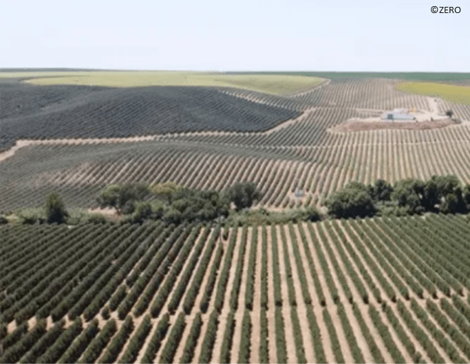 subsidios-agroalimentares-sustentabilidade-essencia-ambiente