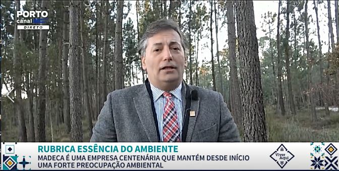 porto-canal-madeca-essencia-ambiente