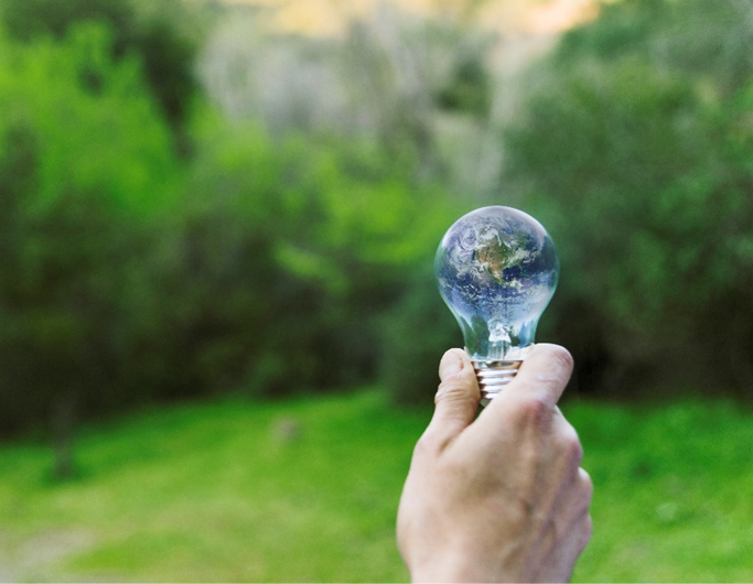 comunicação-sensibilização-ambiental-essencia-ambiente