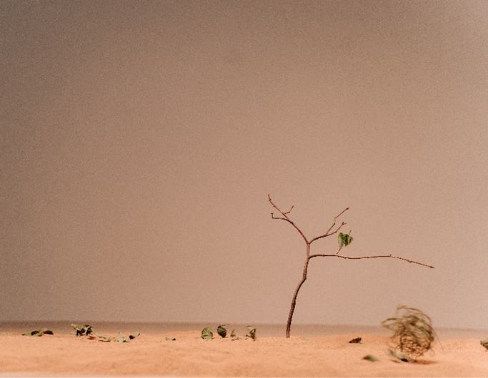 alteracoes-climaticas-essencia-ambiente-aspea