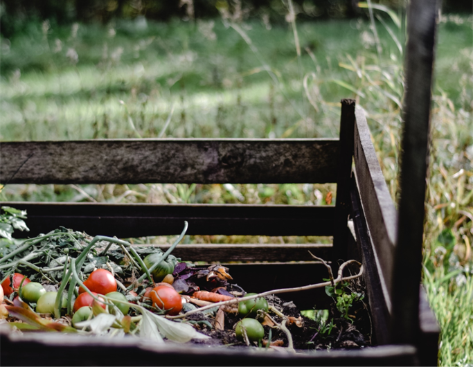 compostagem-materia-organica-essencia-ambiente