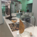 Lipor | Porto Ambiente | Quercus | Essência do Ambiente