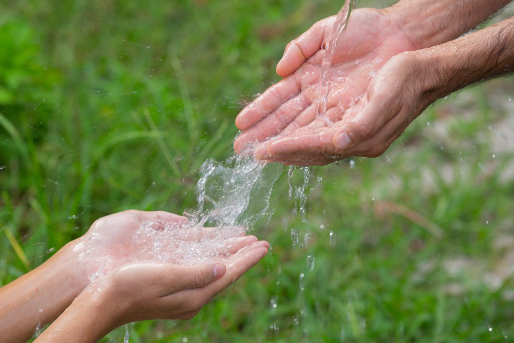 business-as-nature-essencia-ambiente