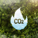 mercado-voluntario-carbono-portugal-essencia-ambiente