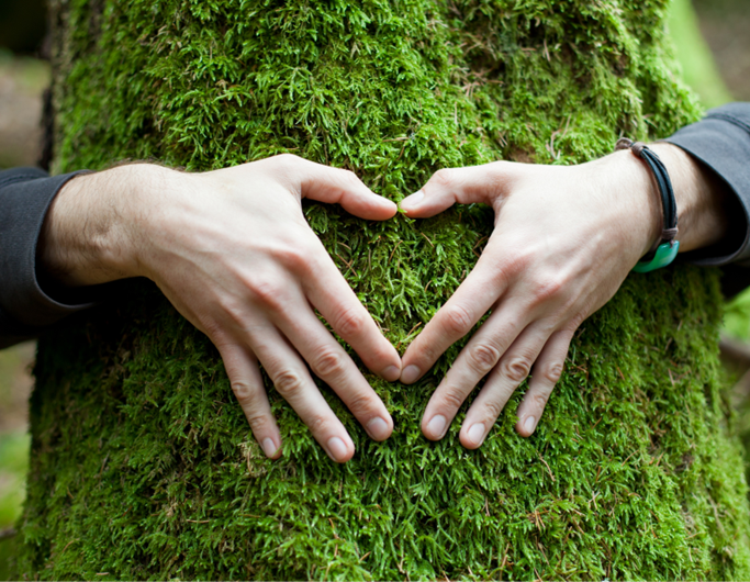 reisswolf-sustentabilidade-essencia-ambiente